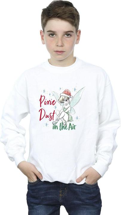 Produktbild Disney Tinker Bell Pixie Dust Sweatshirt Jungen (140, 146)