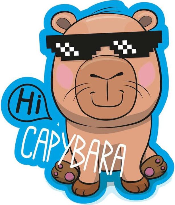 Produktbild Sanrio Capybara 3D cushion