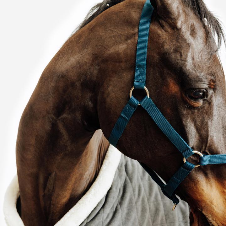 Produktbild Fouganza Halfter Schooling blau