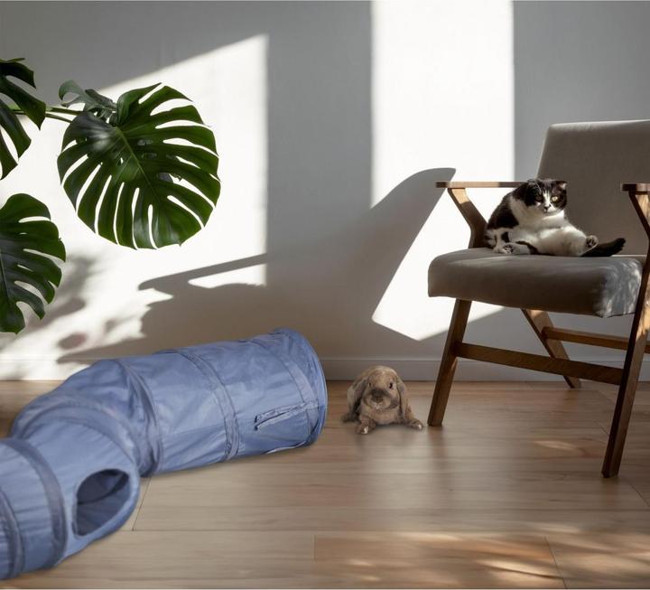 Immagine prodotto Relaxdays Tunnel per gatti (Tunnel del gatto)