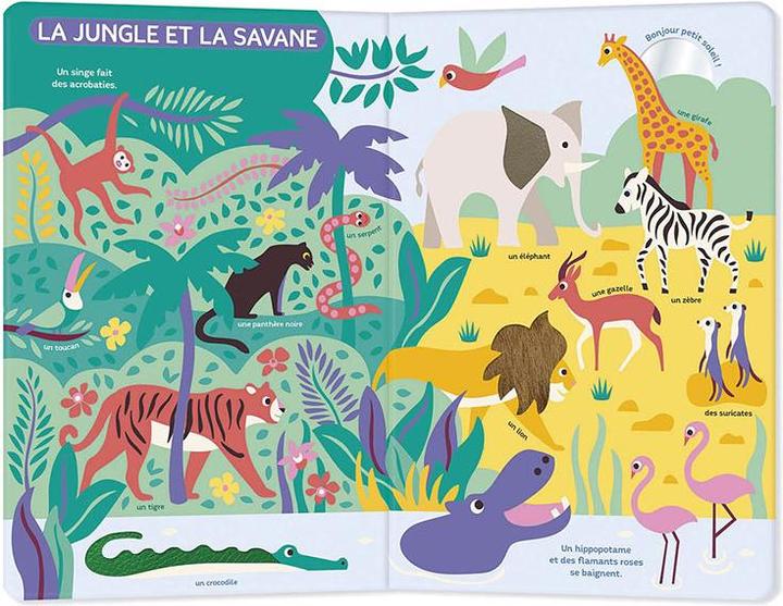 Actual product image Mon très grand livre d'éveil / Autour du monde (French, Taylor Nadia, 2024)