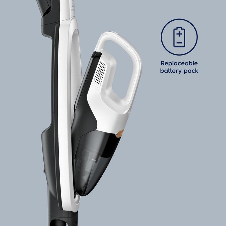 Actual product image Electrolux WQ81-PALRG