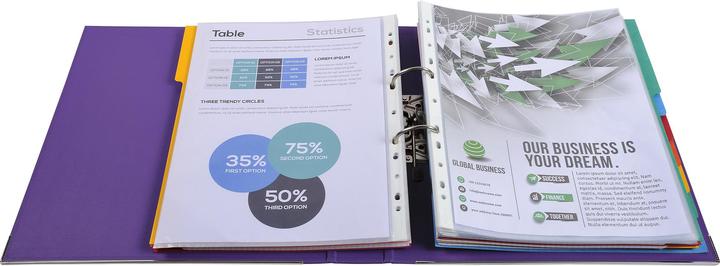 Immagine prodotto Exacompta Cartella Premium, PP, DIN A4, 300 x 320 mm, 50 mm, assortita (A4, 50 mm)