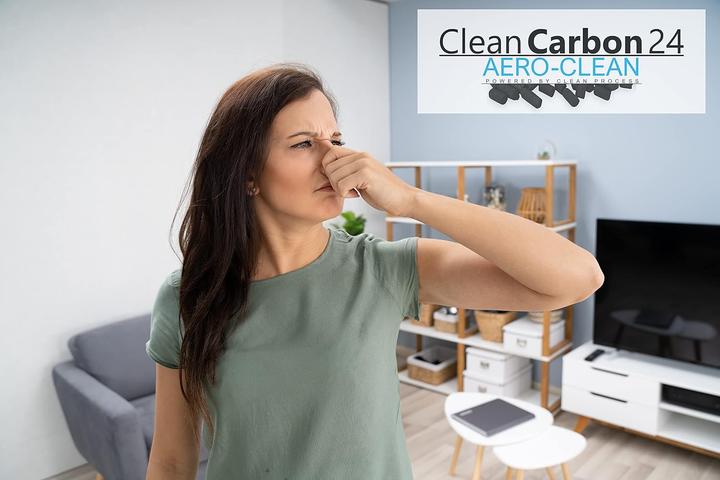 Actual product image Clean Carbon 24 Aktivkohle-Pellets für Raumluftreiniger