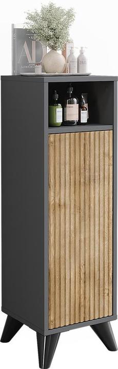 Antracite, Quercia di montagna