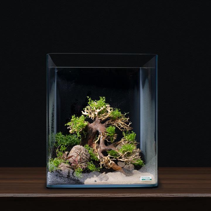 Produktbild Dennerle Bonsai Box (Dekoration, Baum)