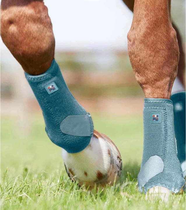 Produktbild Premier Equine gaaschen preier equine air-tech sports edecine