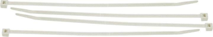 Actual product image Brady Nylon Wire & Cable Ties (Plastic cable ties, 200 mm, 100 pcs.)