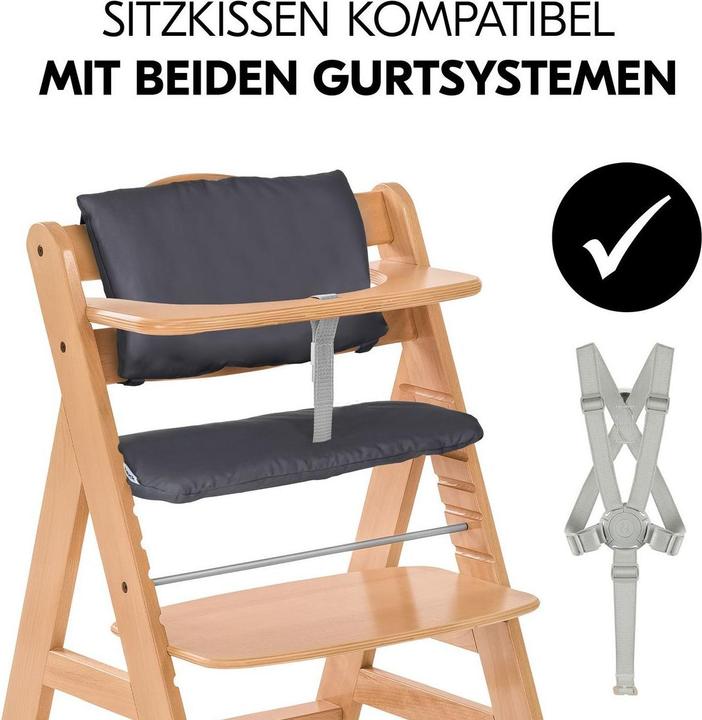 Produktbild Hauck Alpha Plus (Treppenhochstuhl)