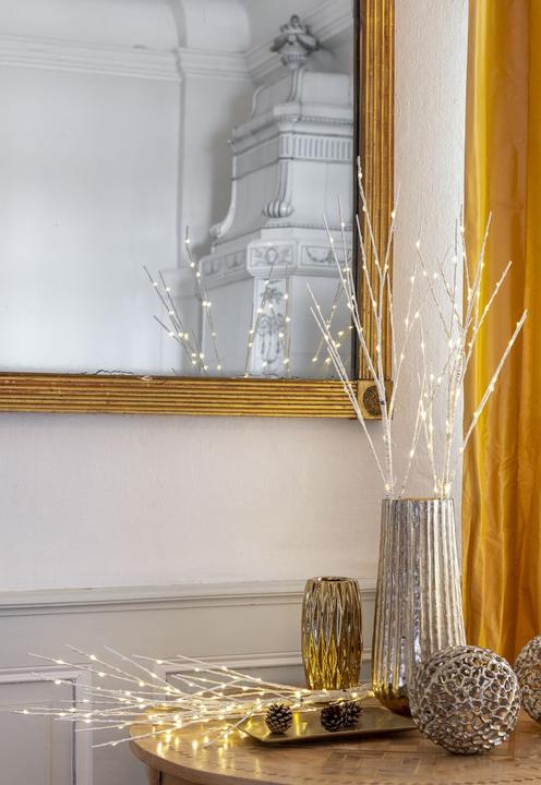 Image du produit STT Set de branches de bouleau