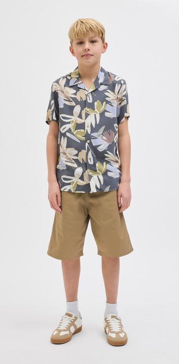 Actual product image Jack & Jones Relaxed Fit Loose Fit Shorts Loose Fit Shorts (164)
