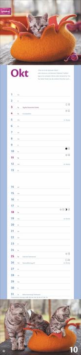 Produktbild Whiskas Katzenleben Kalender 2026 (Harter Einband, Deutsch)