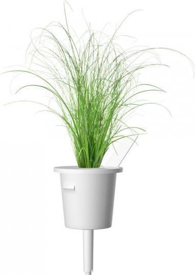Actual product image Click and Grow Click & Grow Smart Refill decorative grass