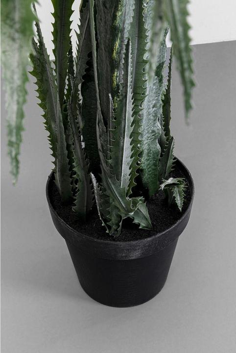 Immagine prodotto Kare Design Deko Pflanze Dragon Tree 155cm (155 cm)