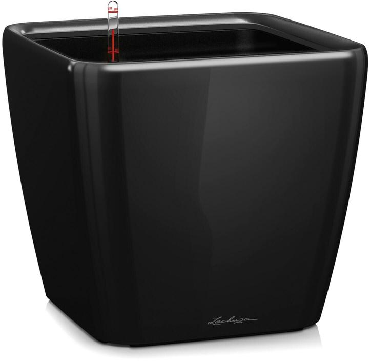 Produktbild Lechuza Quadro LS 21 (22.50 cm)