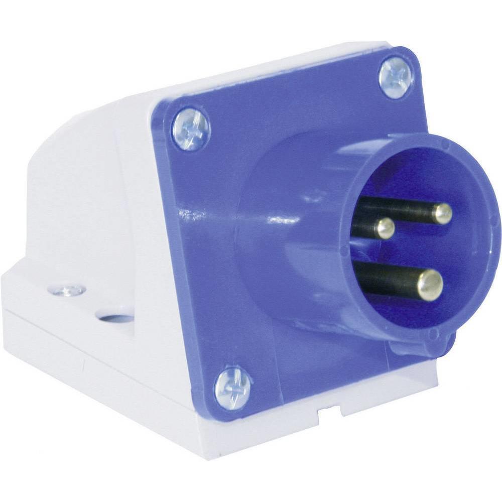 Pce Blu Spina + Connettore, Ceecarawall Dispositivo Spina Per Montaggio A Parete