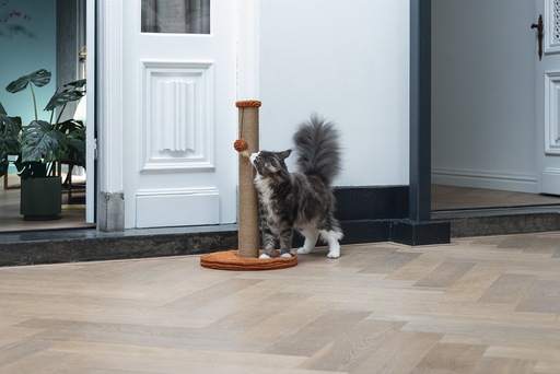 Image du produit Designed by Lotte Arbre à chat (70 cm, Terre cuite, Marron)