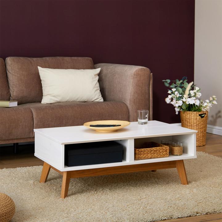 Image du produit IDIMEX Tibor (90 x 60 x 36 cm)