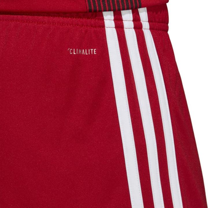 Actual product image Adidas Tastigo 19 Shorts (M)