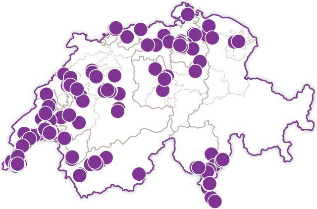 Immagine prodotto Smartbox Bulli di benessere (1 Persona)