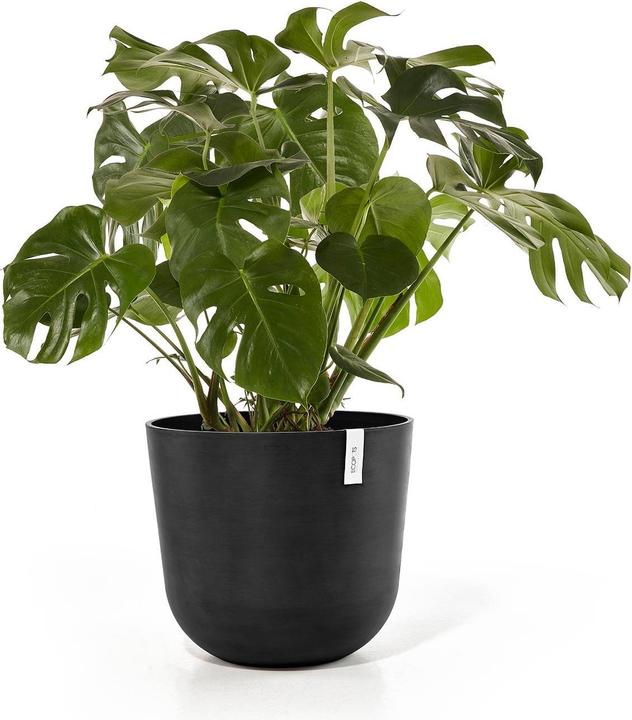 Actual product image Ecopots Oslo (55 cm)