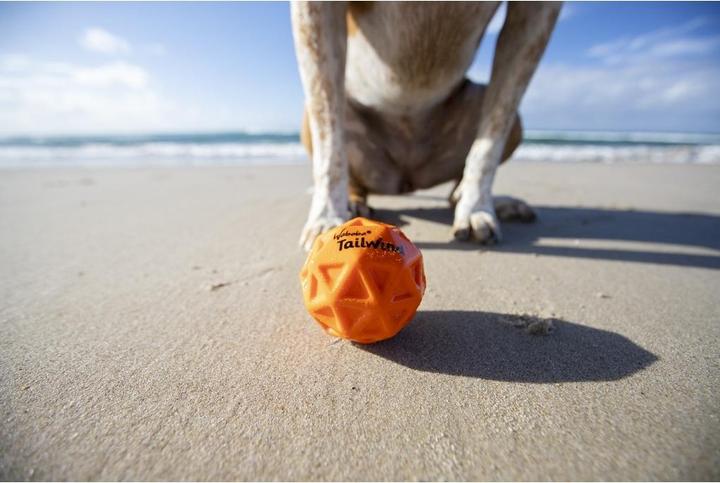 Actual product image Waboba Pets Tailwind - Dog series (Ball toy dog)