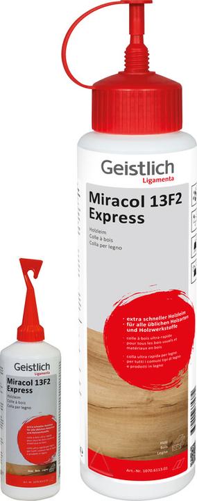 Immagine prodotto Geistlich Colla per legno Miracol 13F2 Express 6113.53 100g (100 g)