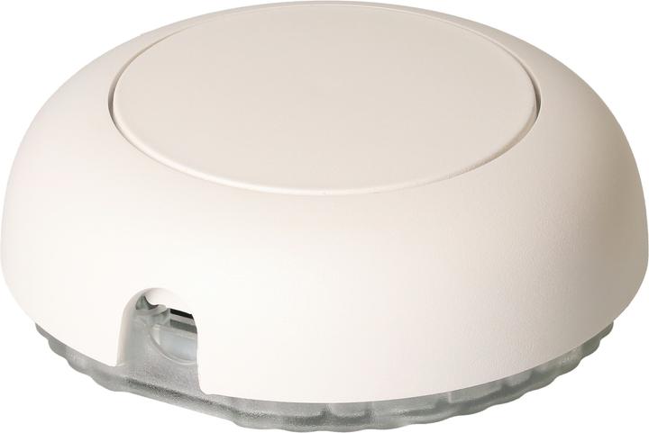 Max Hauri Fussdimmer