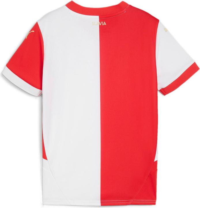 Puma SKS Home Jersey Replica Jr (152)