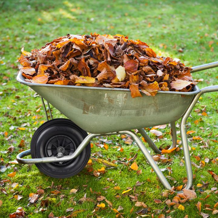 Actual product image Relaxdays Wheelbarrow Wheel 4., Solid Rubber