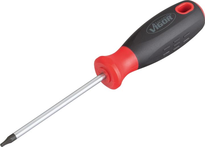 Image du produit Vigor Tournevis Torx d'atelier (TX)