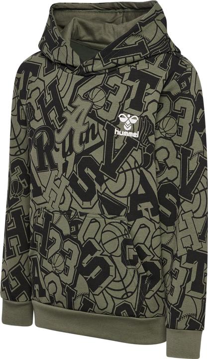 Actual product image hummel hmlMOLT HOODIE (116)