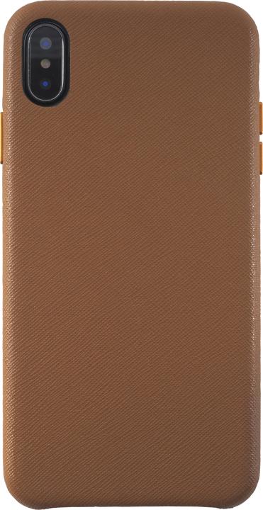 Gatto marino marrone