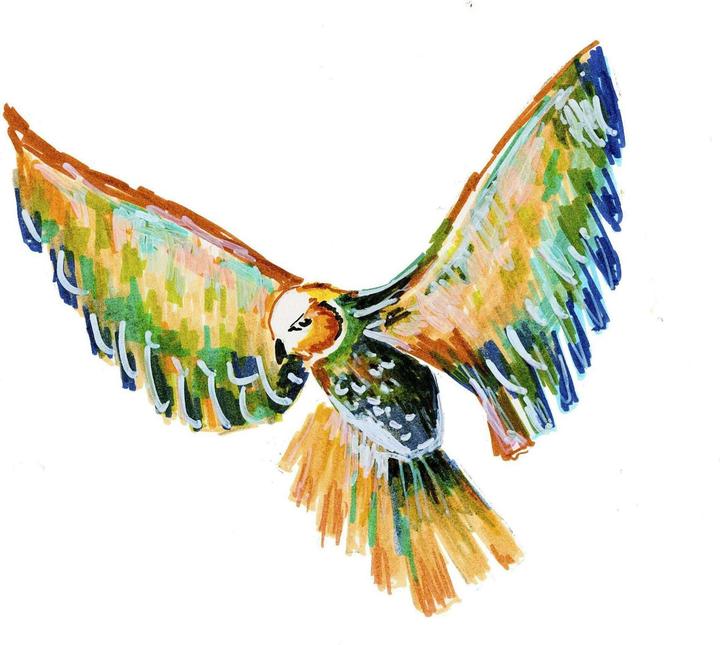 Produktbild Faber-Castell PITT Artist Pen Tuschezeichne (4x)