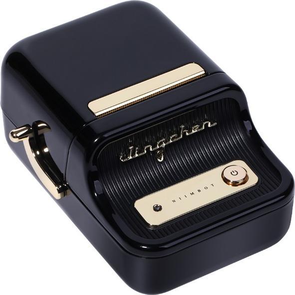 Actual product image Niimbot B21 (203 dpi)