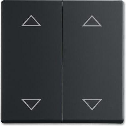 Black RAL number (similar): 9005