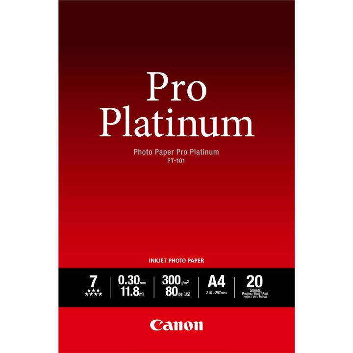 Actual product image Canon PT-101, Photo Paper Pro Platinum (300 g/m², A4, 20 x)