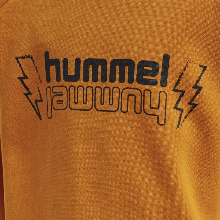 Produktbild hummel Flame Sweatshirt (110)