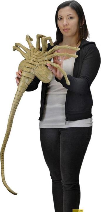 Image du produit Neca Aliens : 1/1 Facehugger
