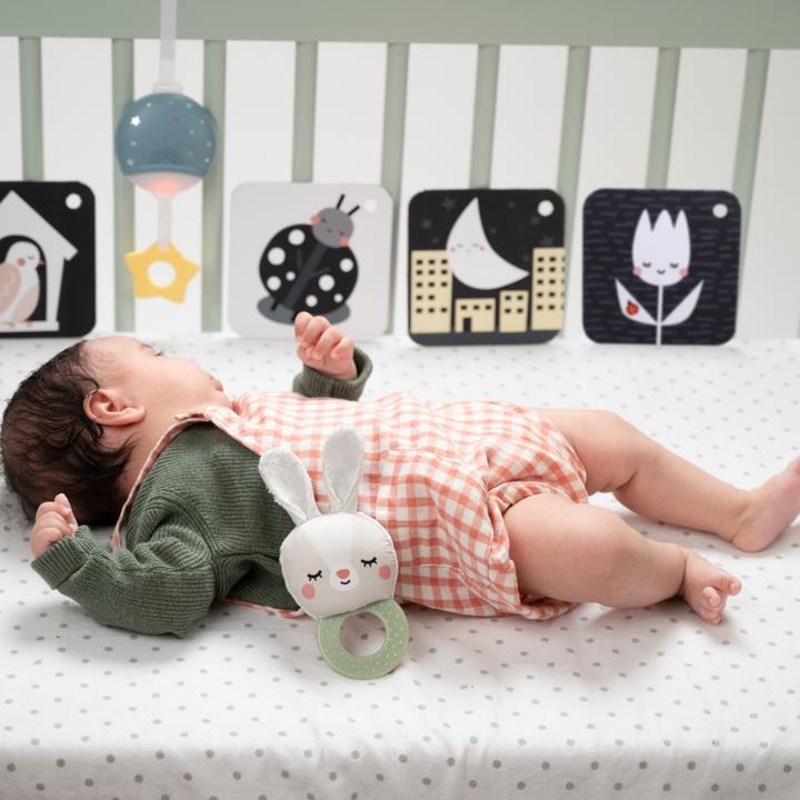 Immagine prodotto Taf Toys Ciao, tesoro