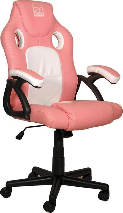 Actual product image Xtreme MX12 KOR