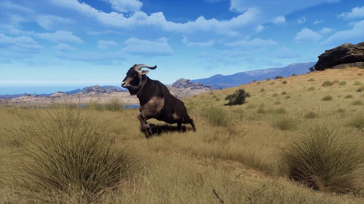 Actual product image THQ Way of the Hunter PS-5 Wild Expeditions (PS5, DE)