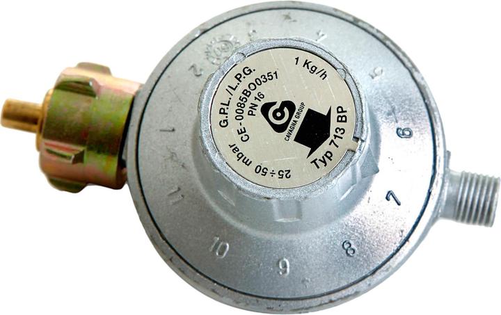 All'Grill Détendeur à gaz à 11 positions avec tuyau à gaz