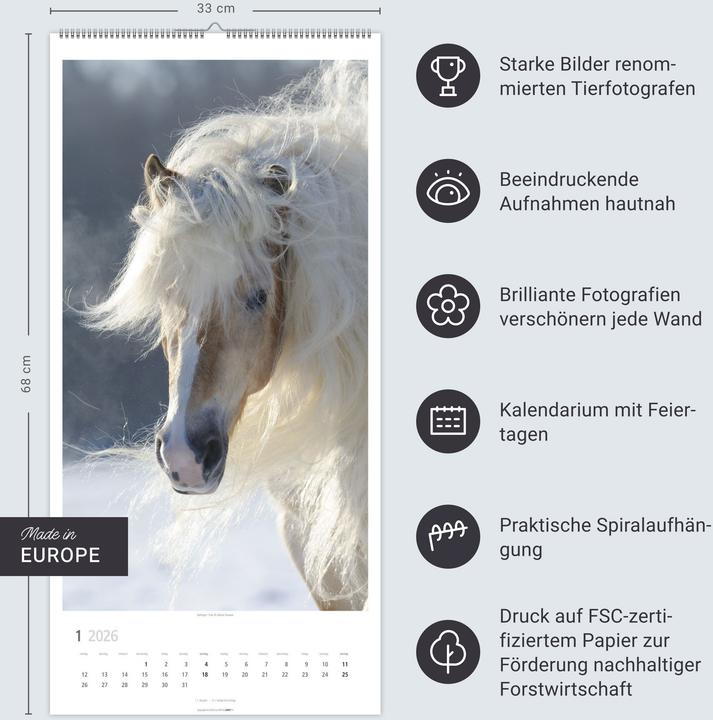 Actual product image Pferde Kalender 2026 (33 x 68 cm, German)