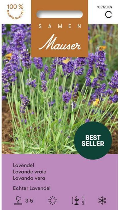 Immagine prodotto Samen Mauser Vera lavanda (Semi di erbe)