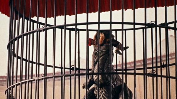 Produktbild Plaion Gwangis Rache (DVD, 1969, Deutsch)