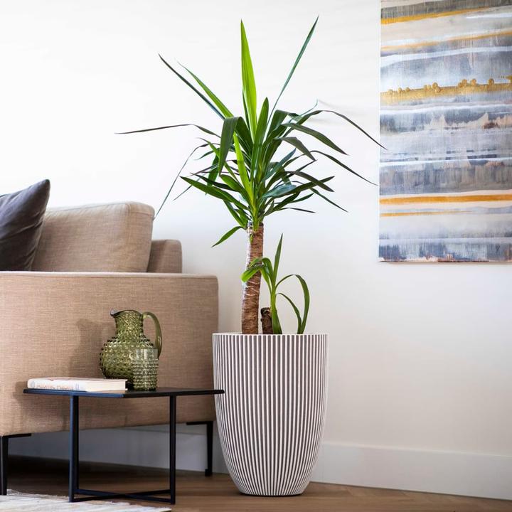 Produktbild Capi Romain (34 x 46 cm)