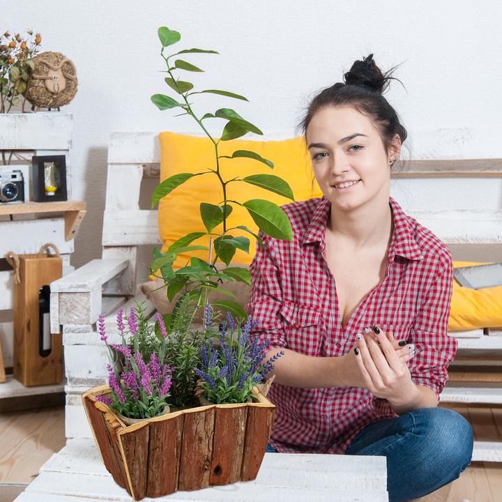 Actual product image Relaxdays Wooden flower box (32 cm)