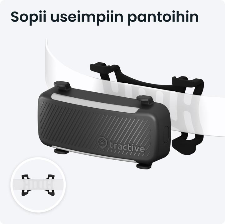 Actual product image Tractive GPS Tracker Dog 6 (Dog, Walks)