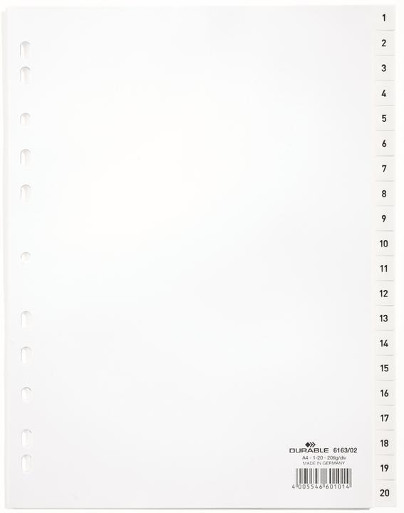 Image du produit Durable Index A4 1-20, avec feuille d'index